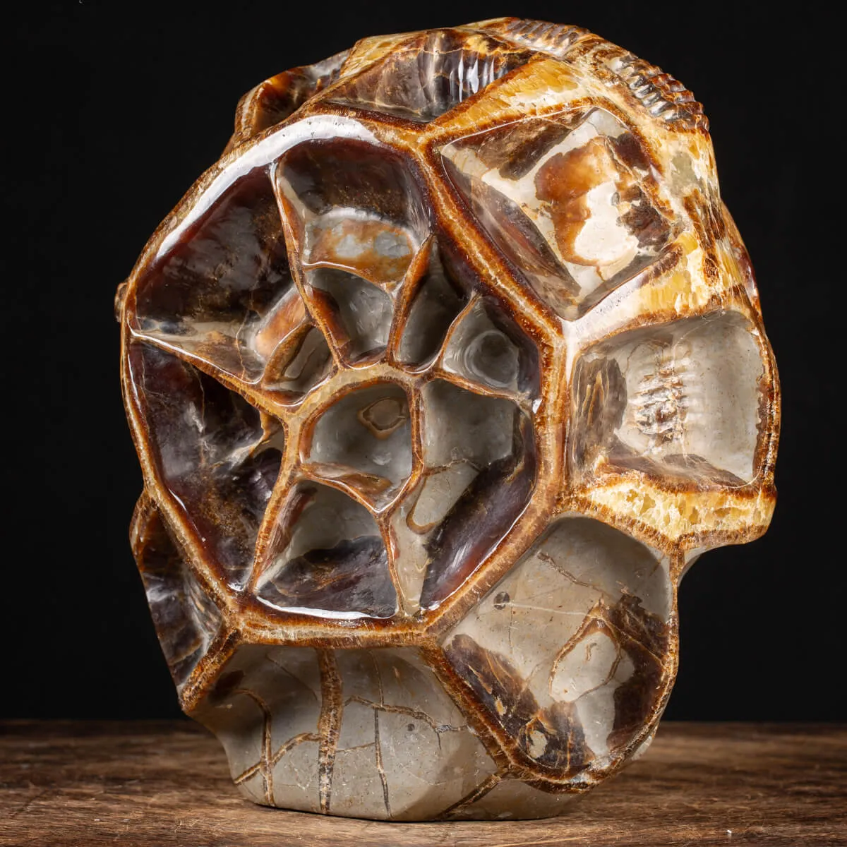 Septaria