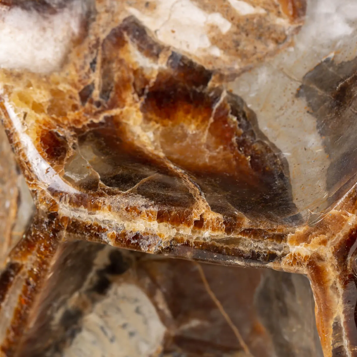 Septaria