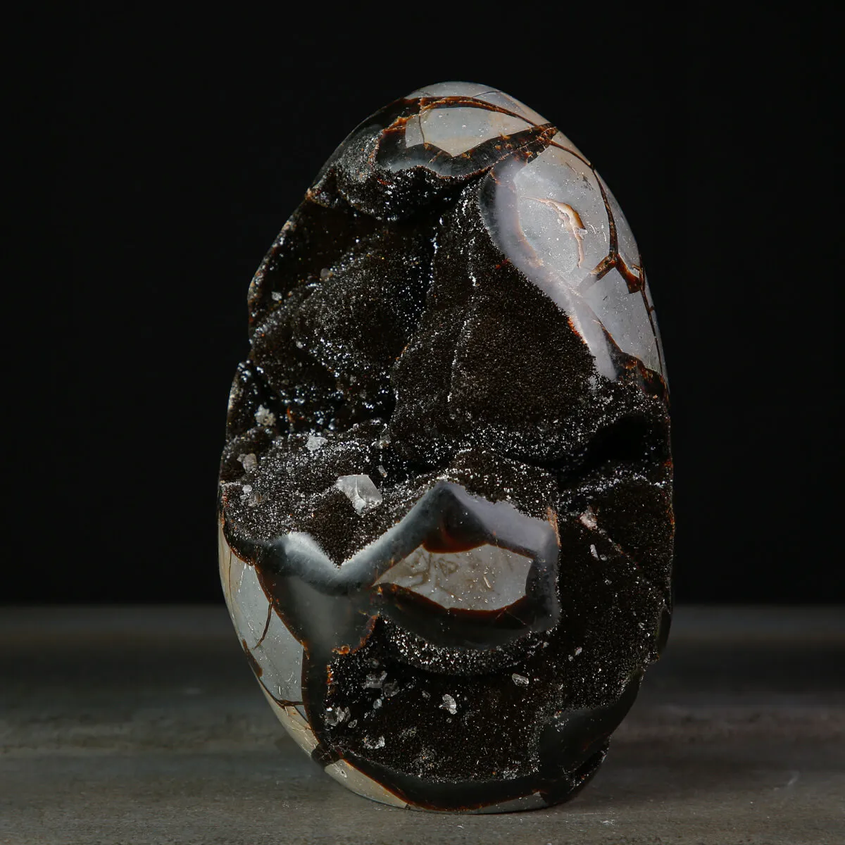 Geode di Septaria a Forma di Uovo.