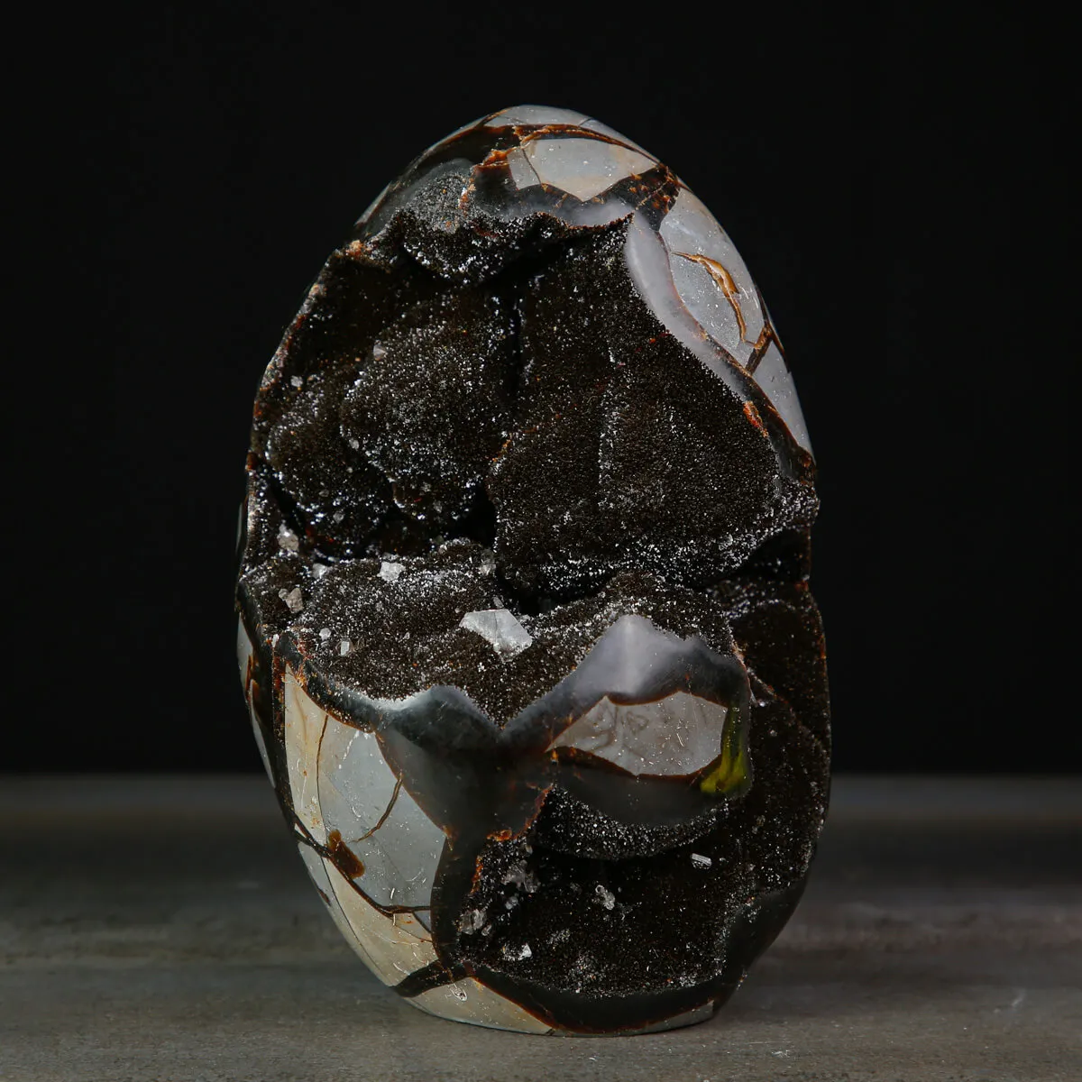 Geode di Septaria a Forma di Uovo.