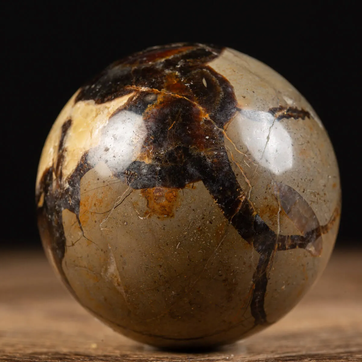 Sfera in Septaria