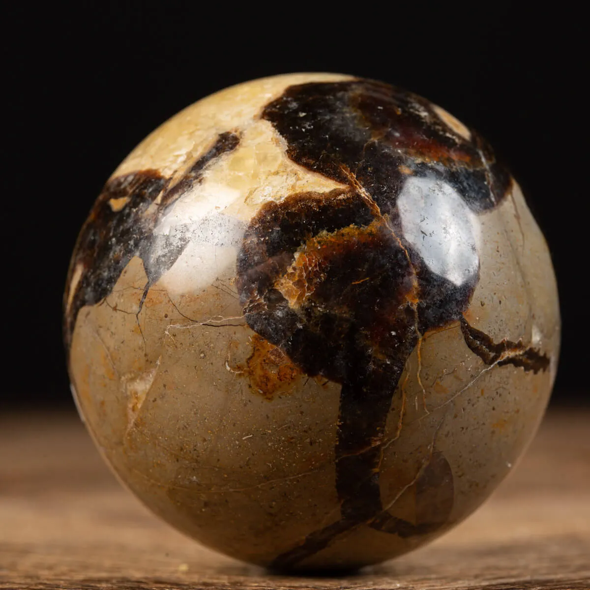 Sfera in Septaria