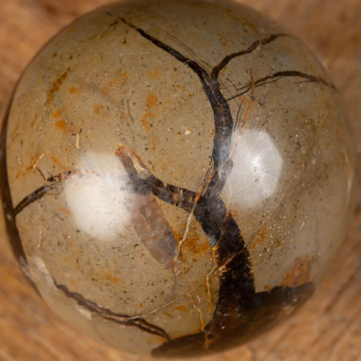 Sfera in Septaria