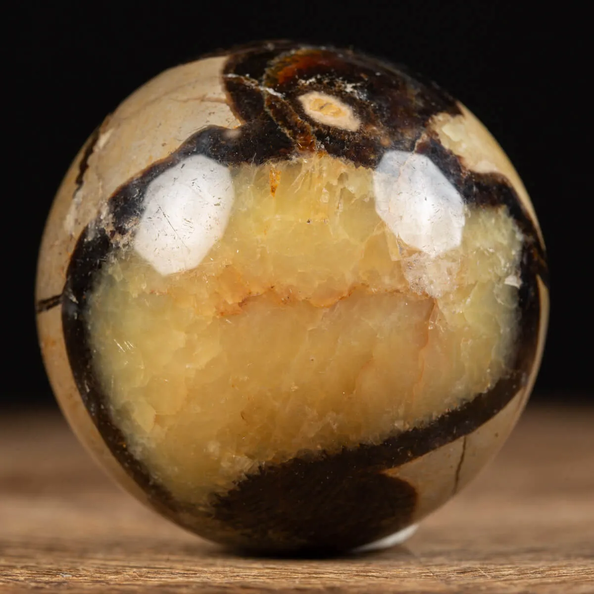 Sfera in Septaria