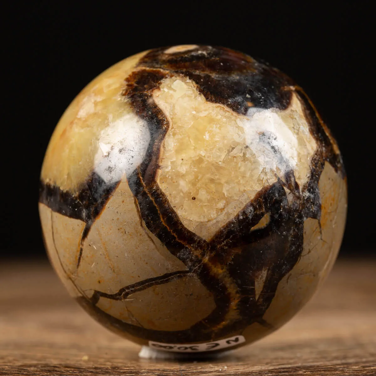 Sfera in Septaria