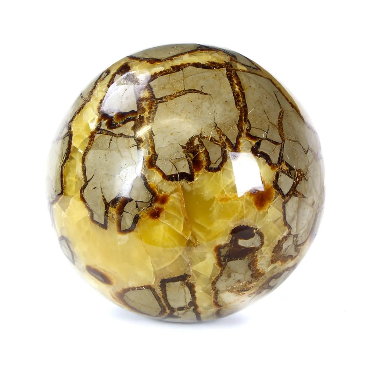Sfera in Septaria