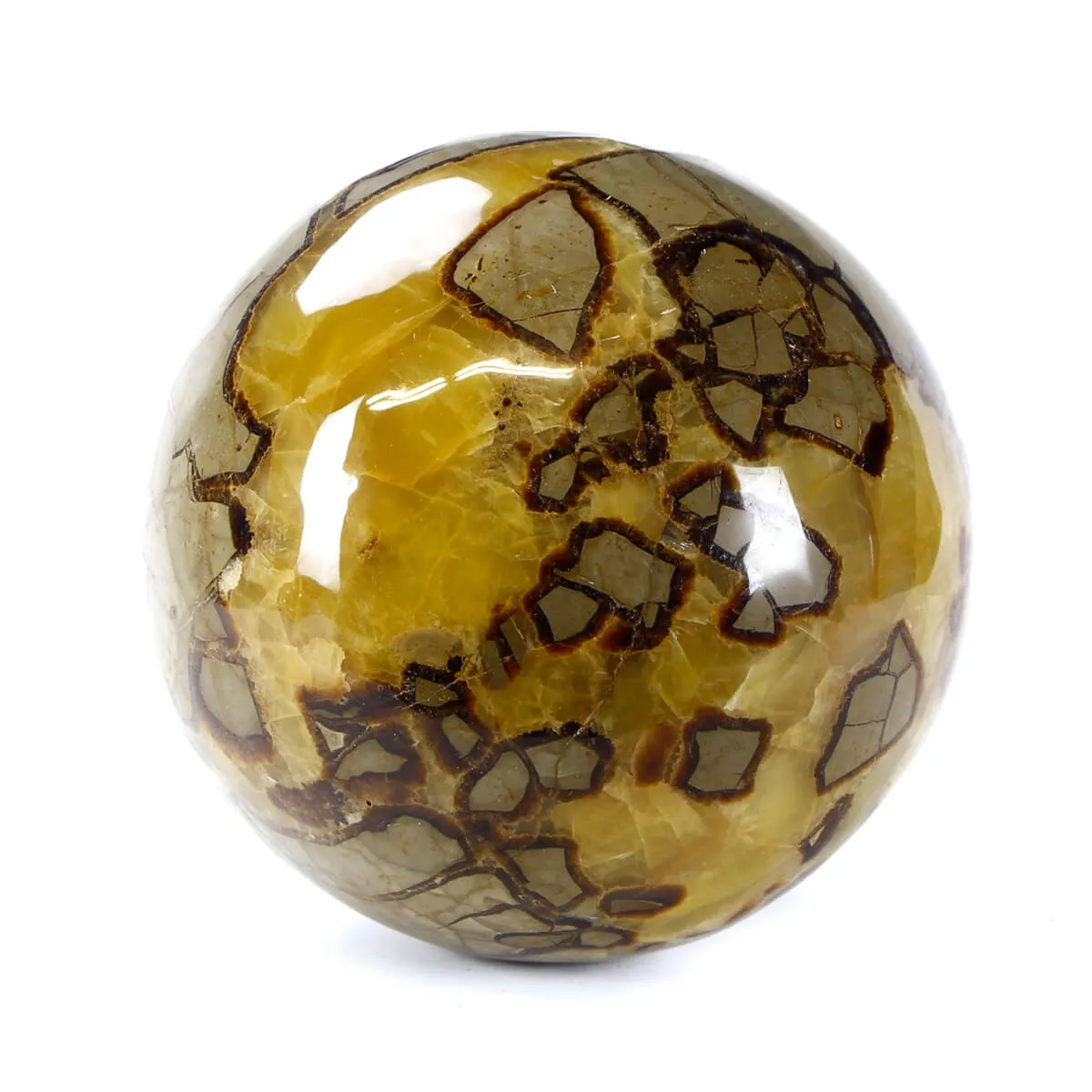 Sfera in Septaria