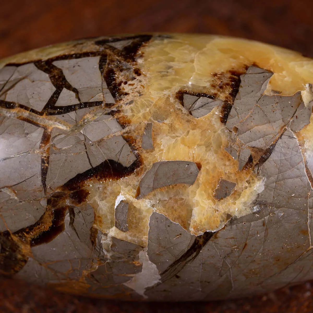 Shiva Lingam in Septaria