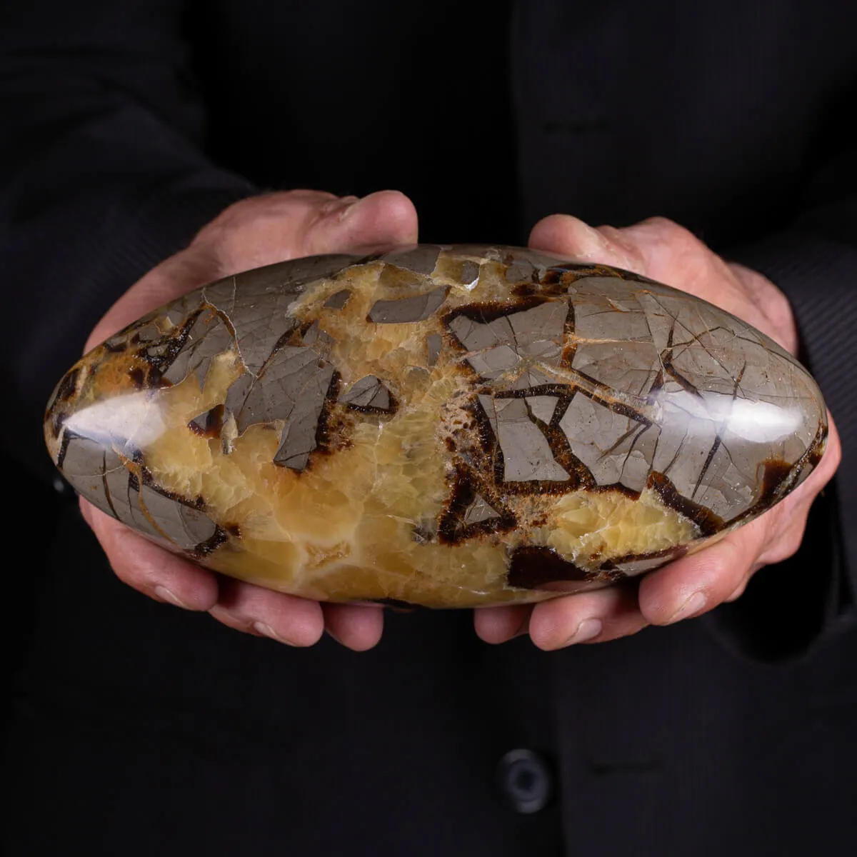 Shiva Lingam in Septaria