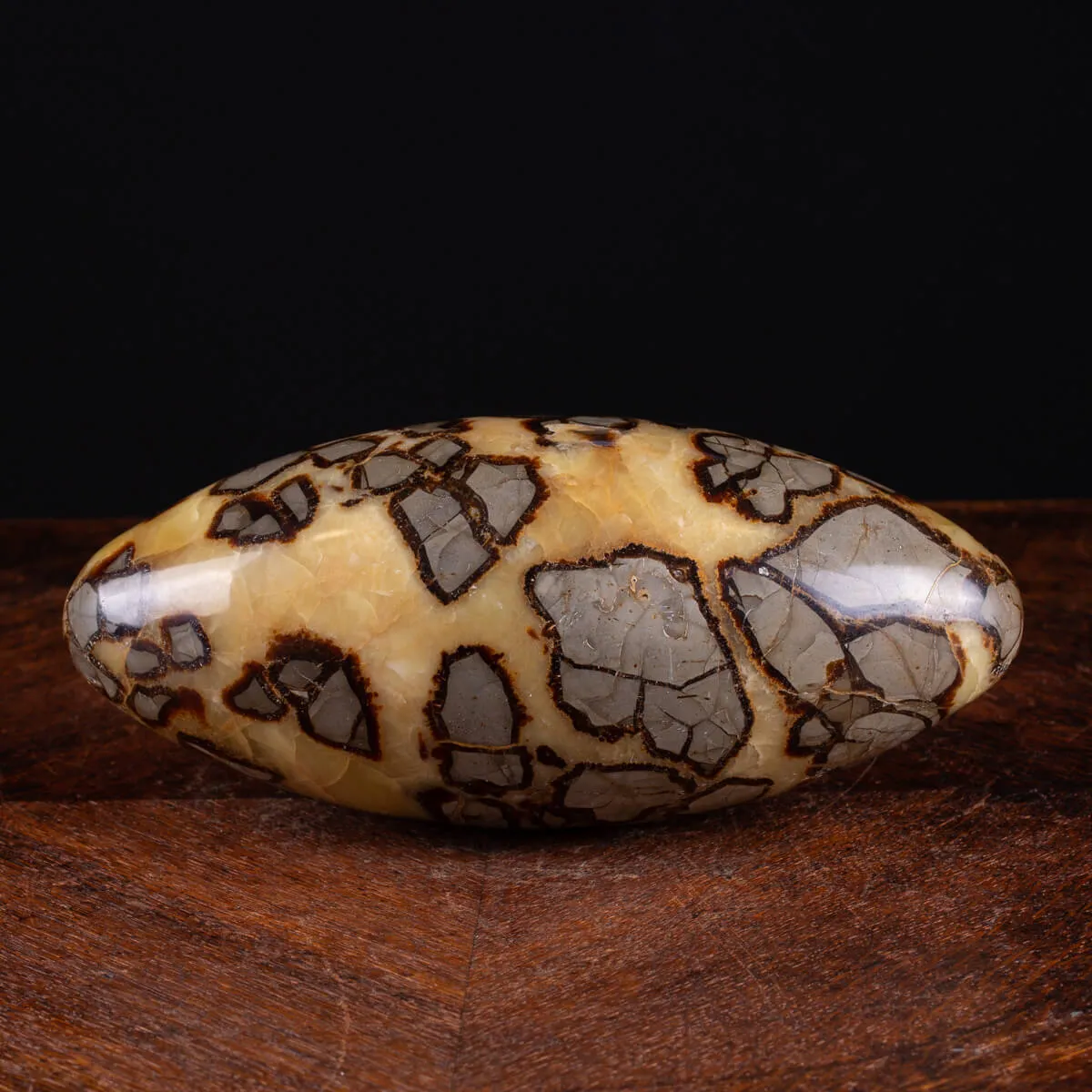 Shiva Lingam di Septaria: Ponte tra il Divino e il Terreno.