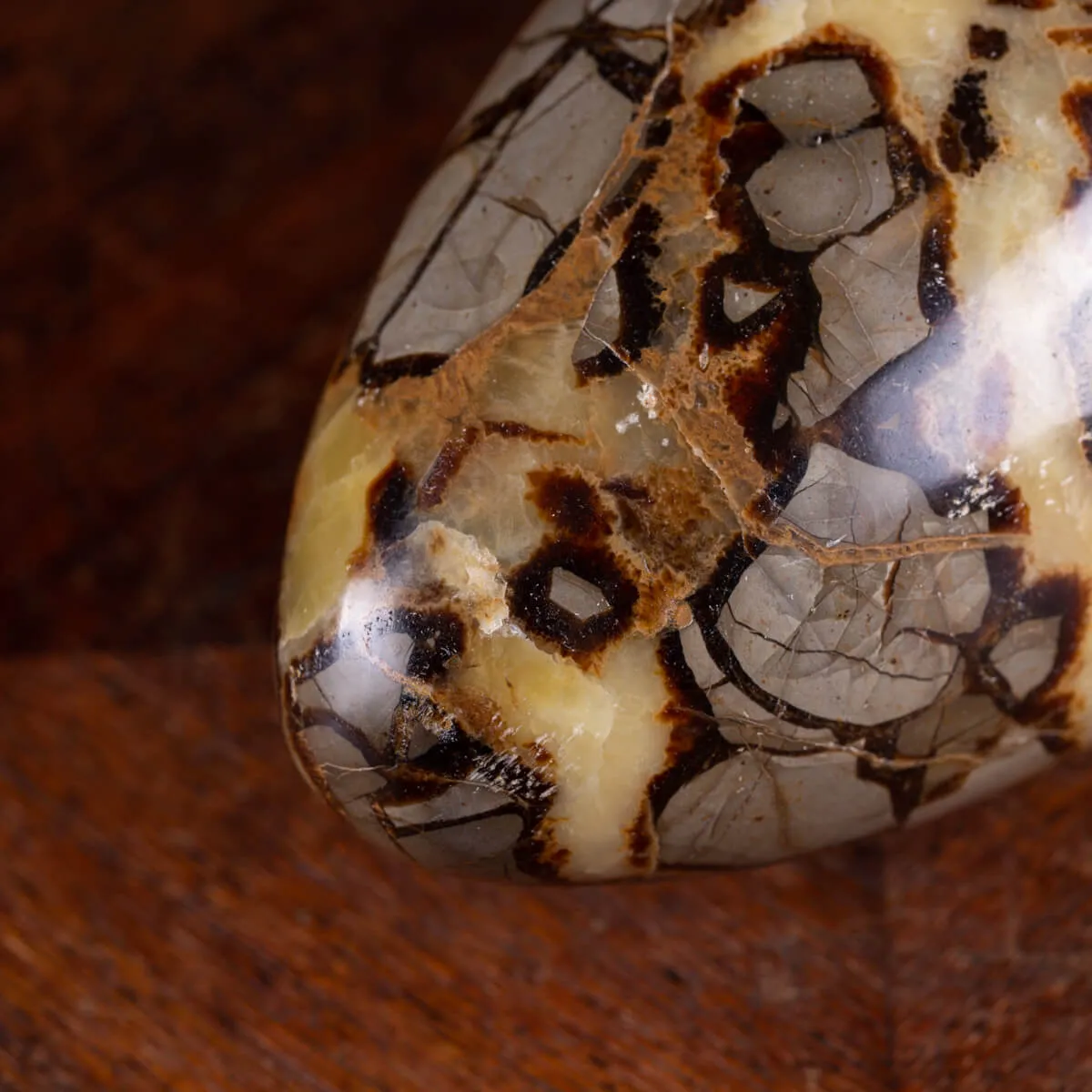 Shiva Lingam di Septaria: Ponte tra il Divino e il Terreno.