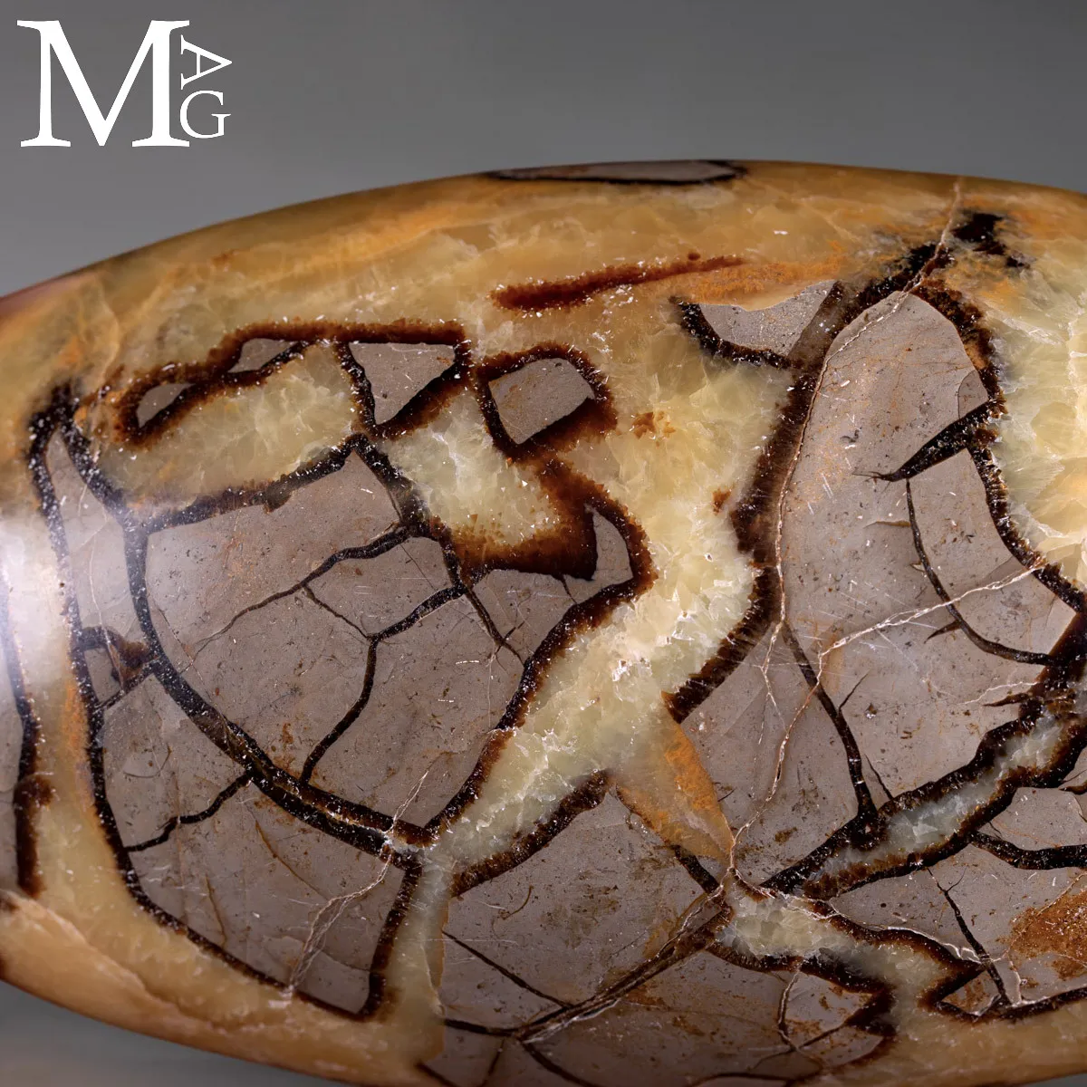 Shiva Lingam di Septaria: Alchimia Interiore per la Trasformazione.