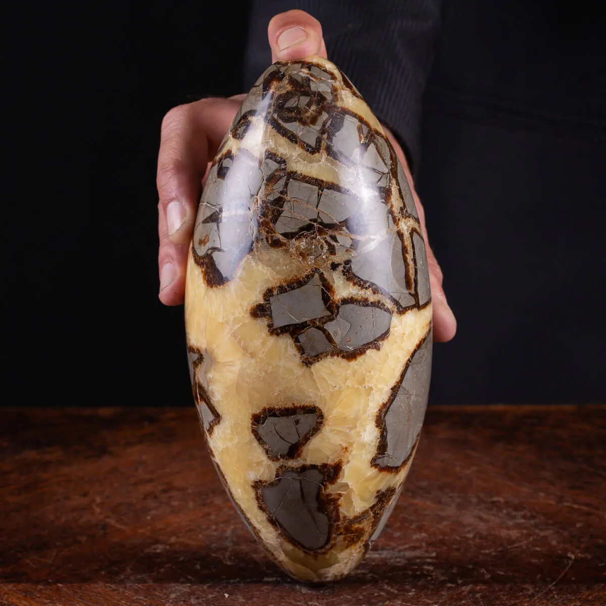 Shiva Lingam di Septaria: Equilibrio e Purificazione Energetica.