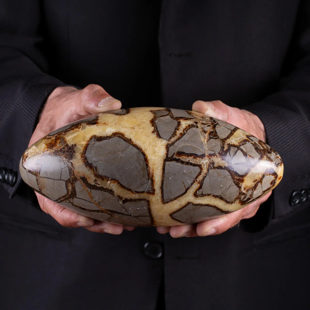 Shiva Lingam di Septaria: Equilibrio e Purificazione Energetica.