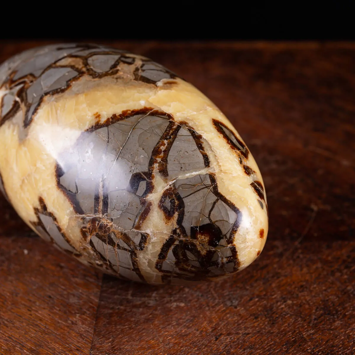 Shiva Lingam di Septaria: Equilibrio e Purificazione Energetica.