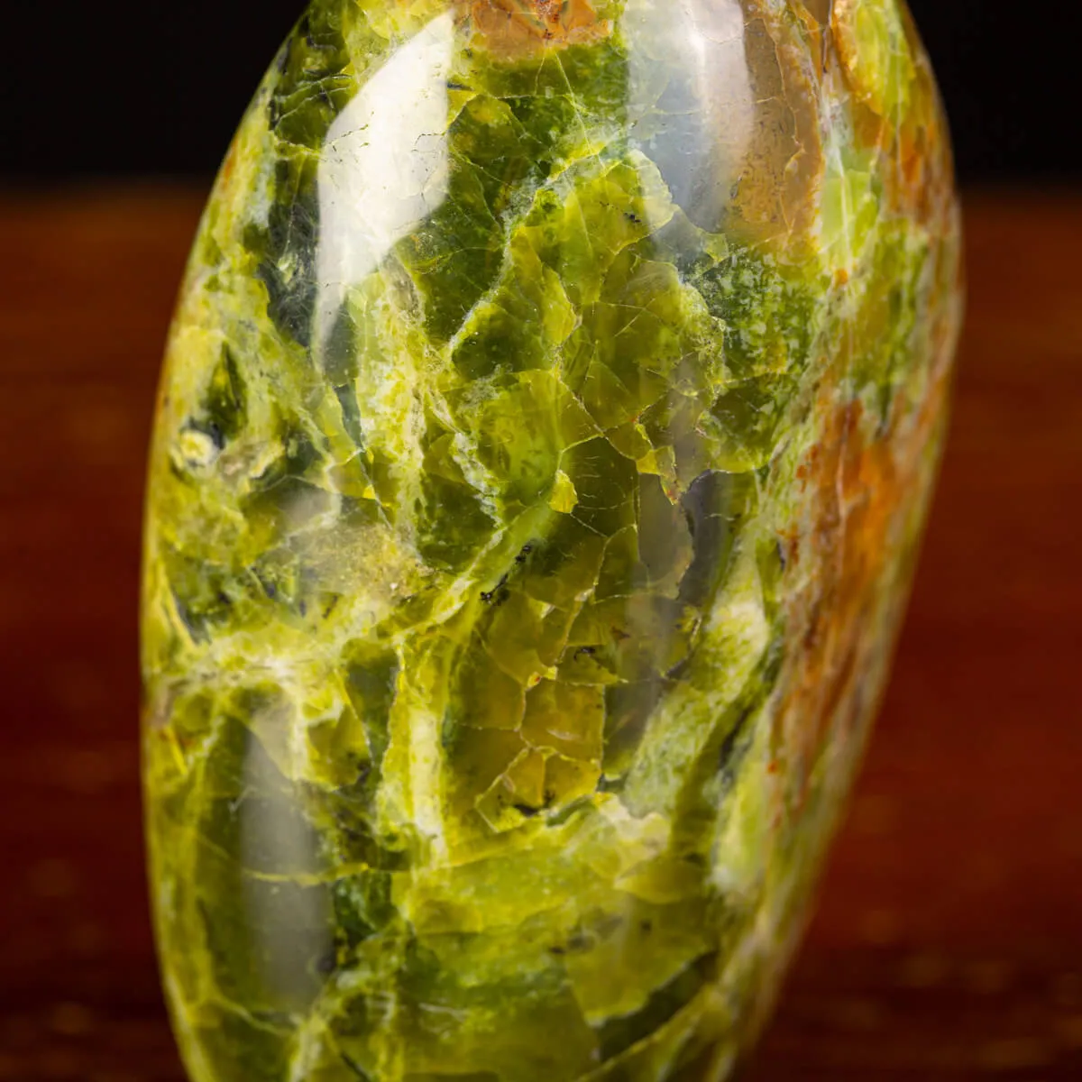 Serpentina del Madagascar: Energie Spirituali.