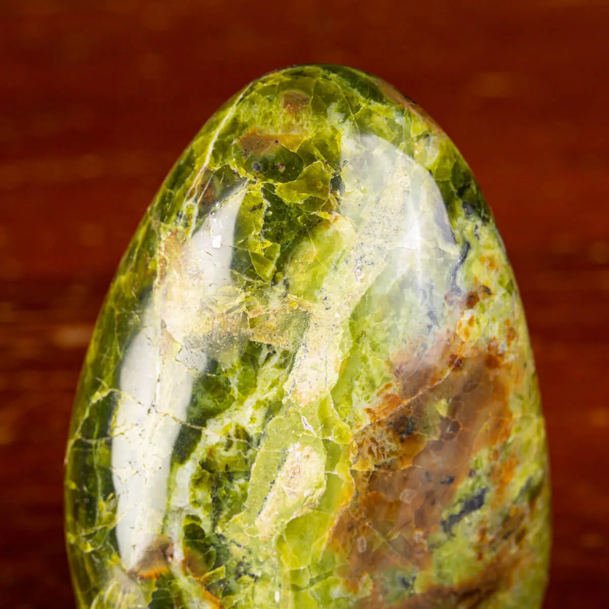 Serpentina del Madagascar: Energie Spirituali.
