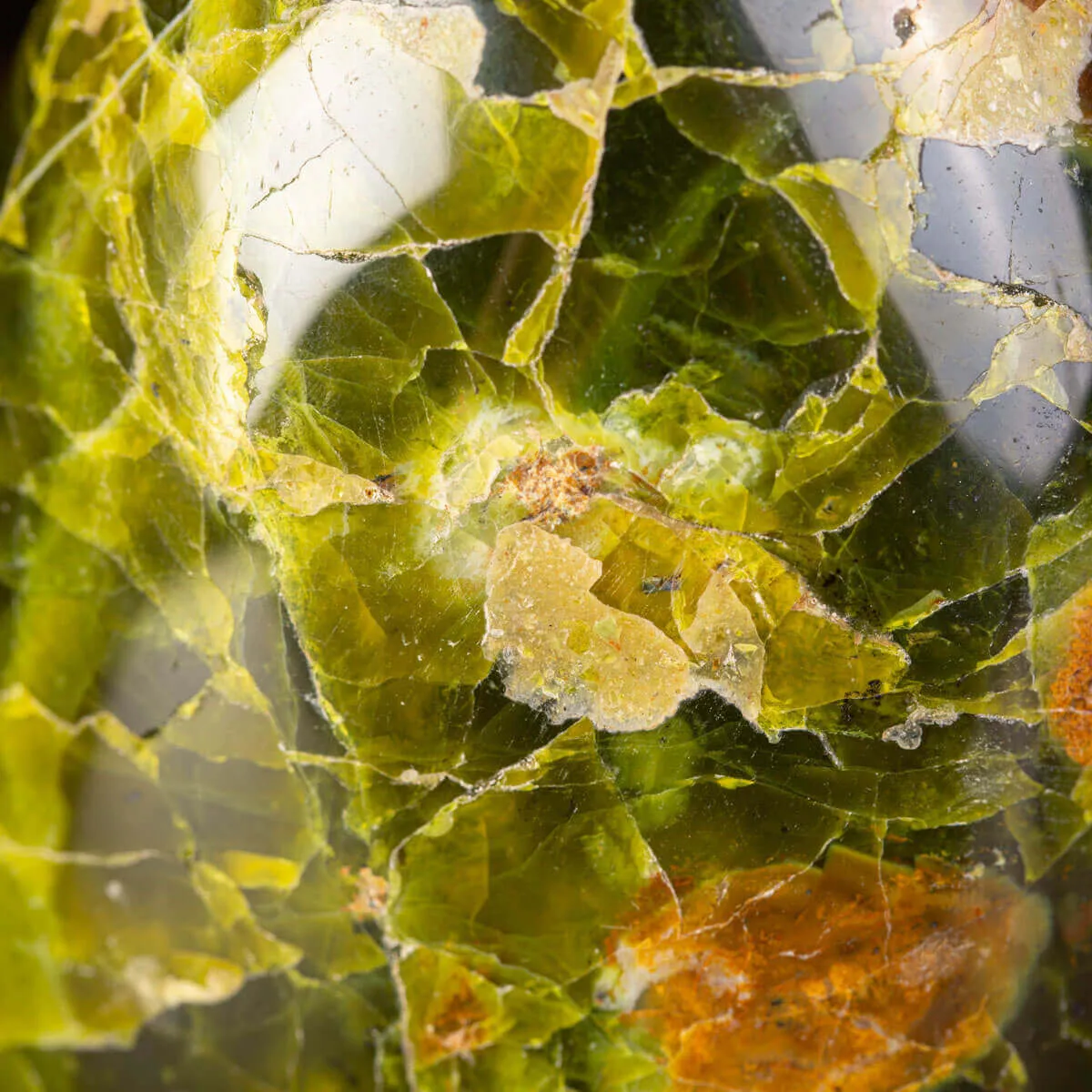 Serpentina naturale in  forma naturale lucida.