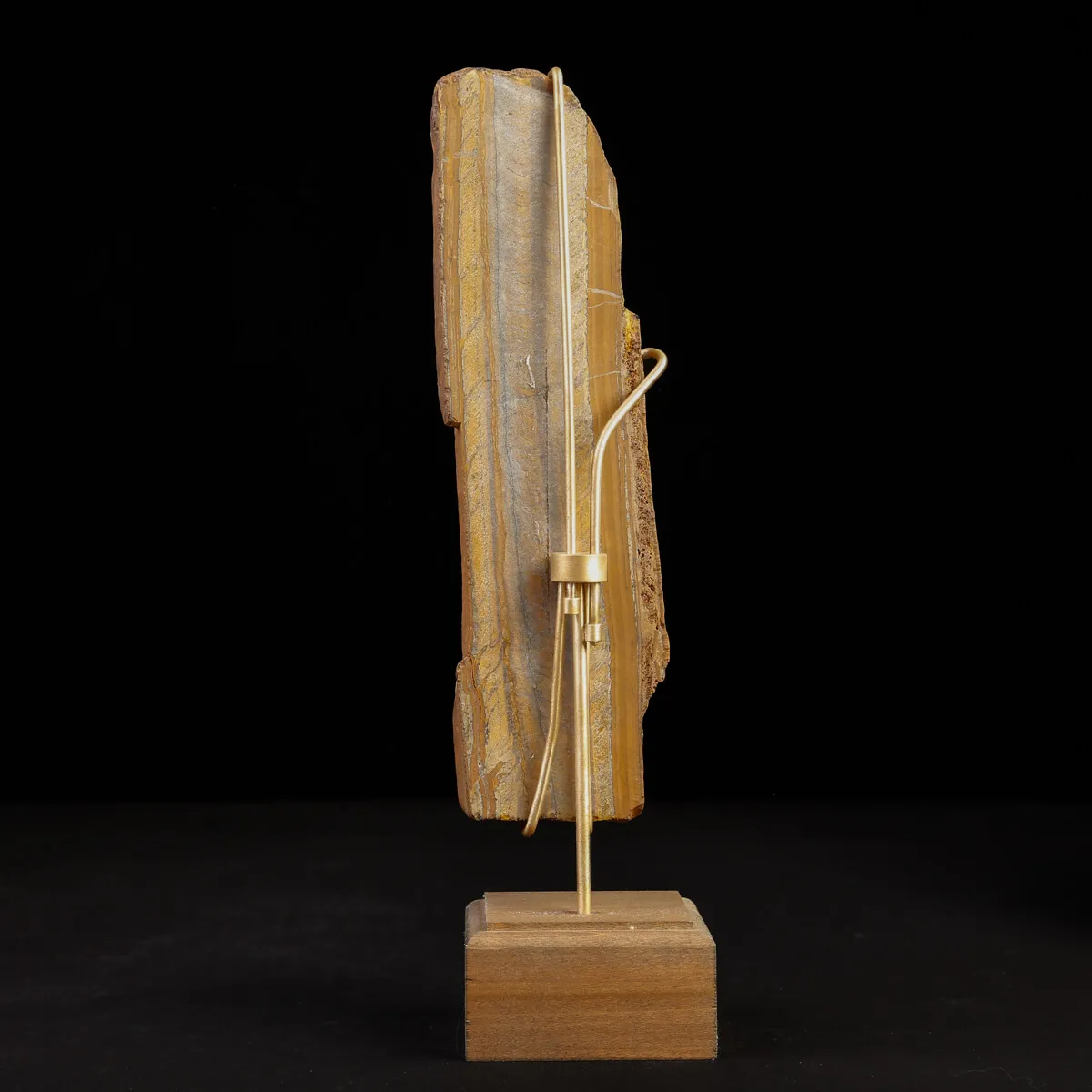 Occhio di Tigre in Esposizione.