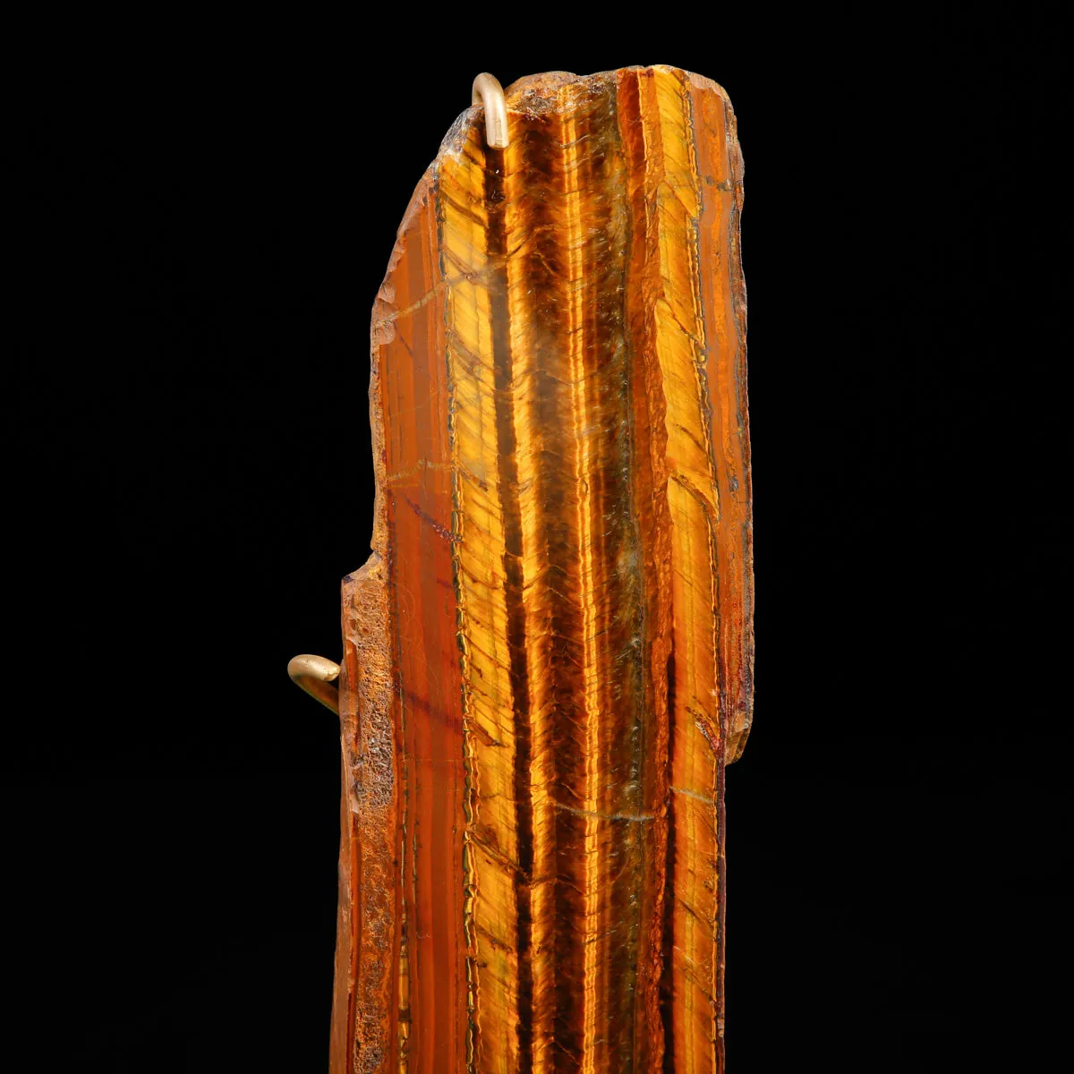 Occhio di Tigre in Esposizione.