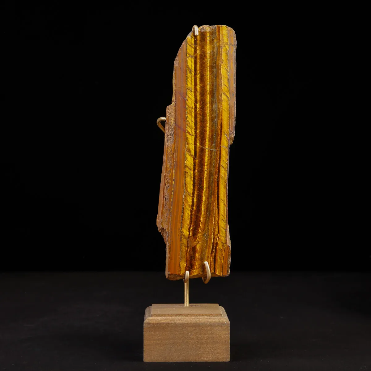 Occhio di Tigre in Esposizione.