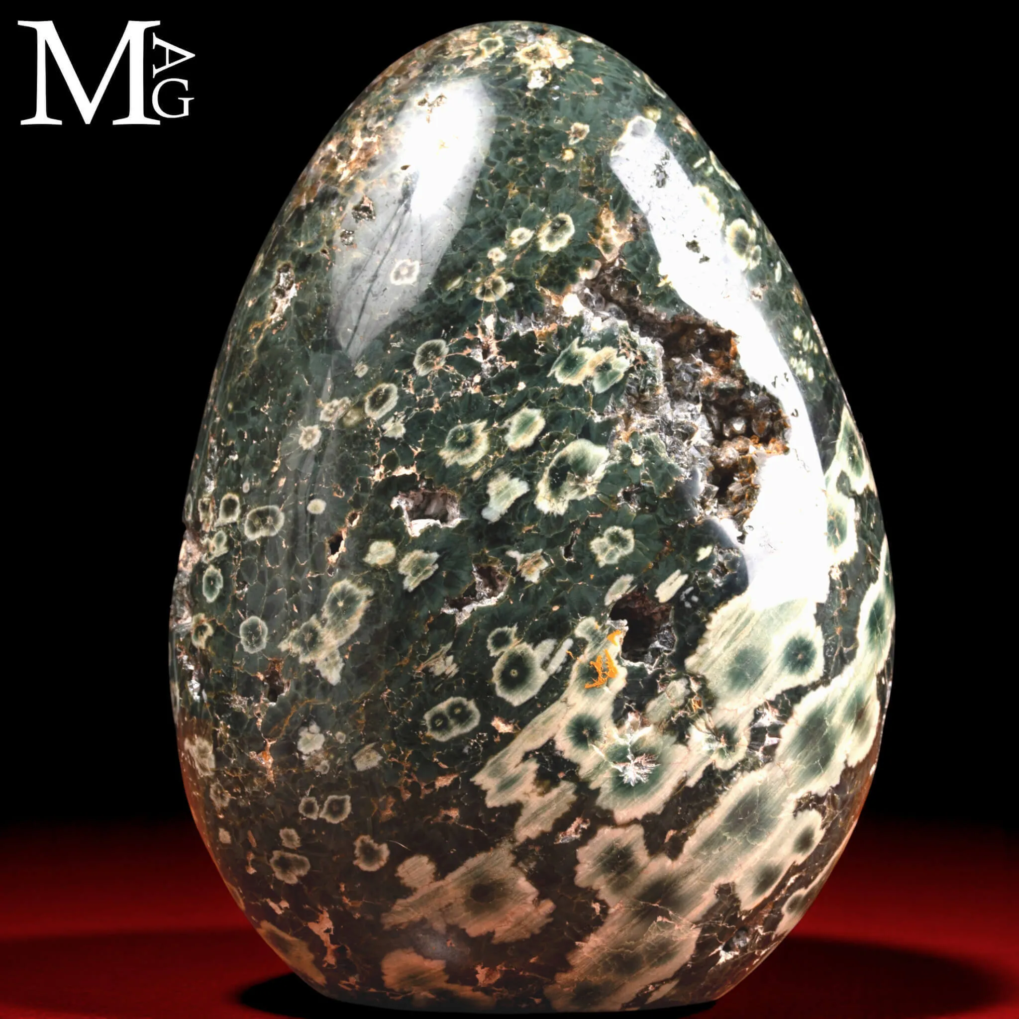 Diaspro Oceanico Orbicolare – 4ª Vena - Madagascar.