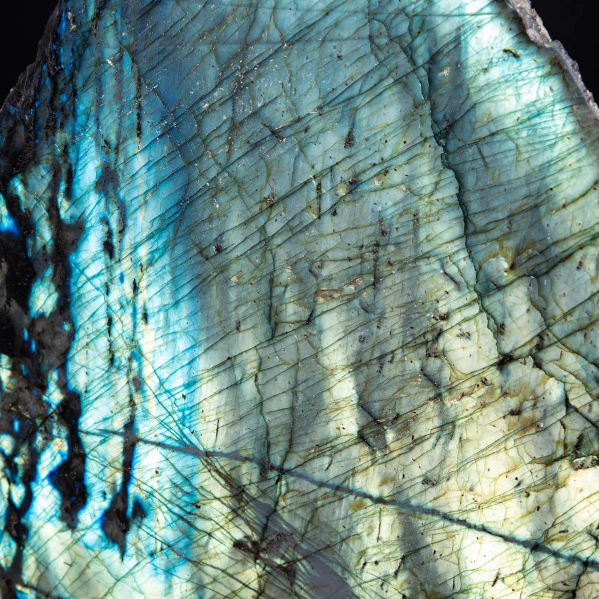 Labradorite del Madagascar: Capolavoro di Natura e Energia.