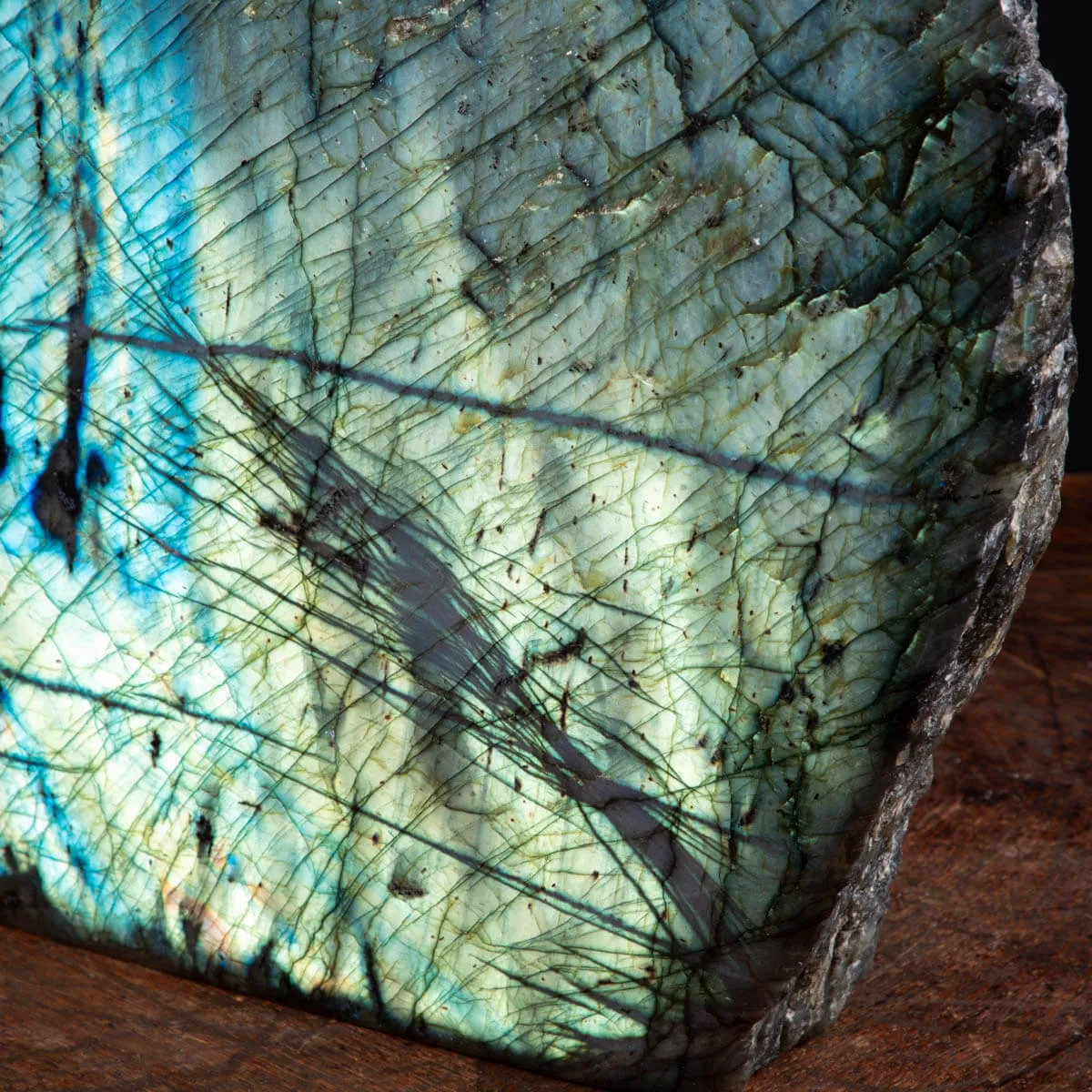 Labradorite del Madagascar: Capolavoro di Natura e Energia.