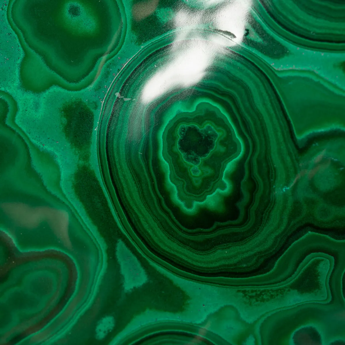 Malachite Prima Scelta Montata su Base