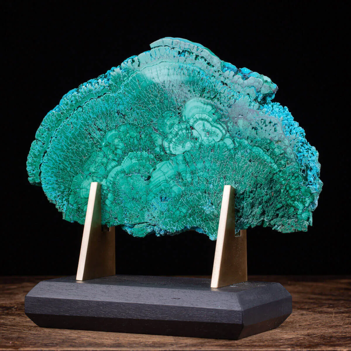 Crisocolla in Malachite Prima Scelta Montata su Base