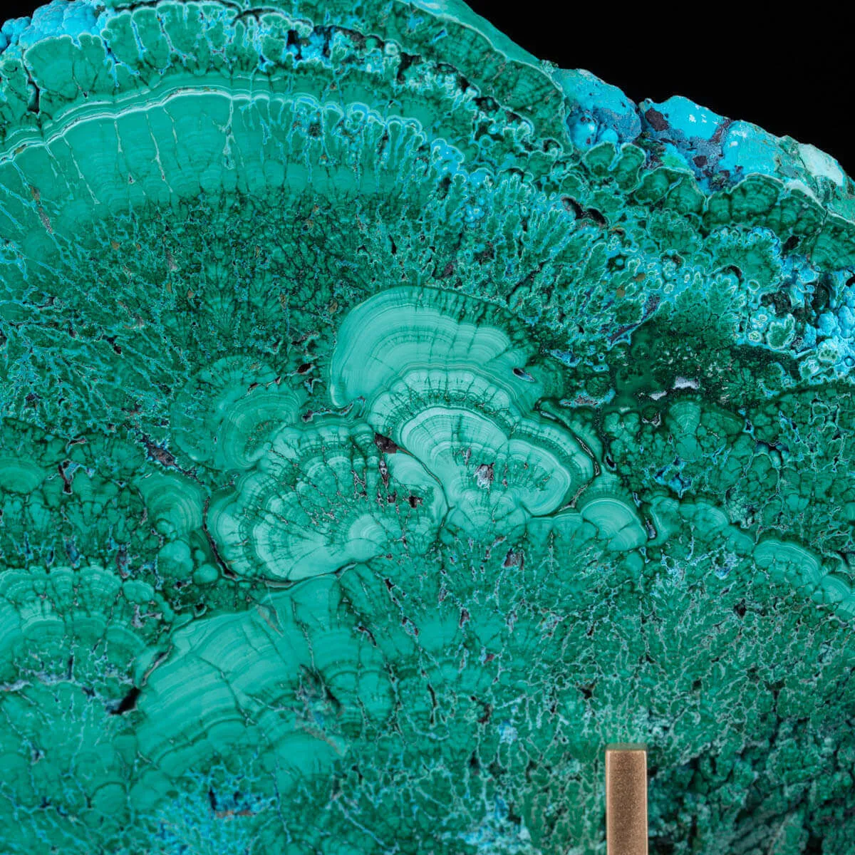 Crisocolla in Malachite Prima Scelta Montata su Base