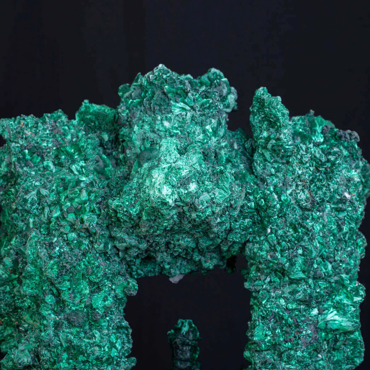 Malachite Fibrosa: Campione Naturale di Incredibile Bellezza e Forma , Straordinariamente Rara.