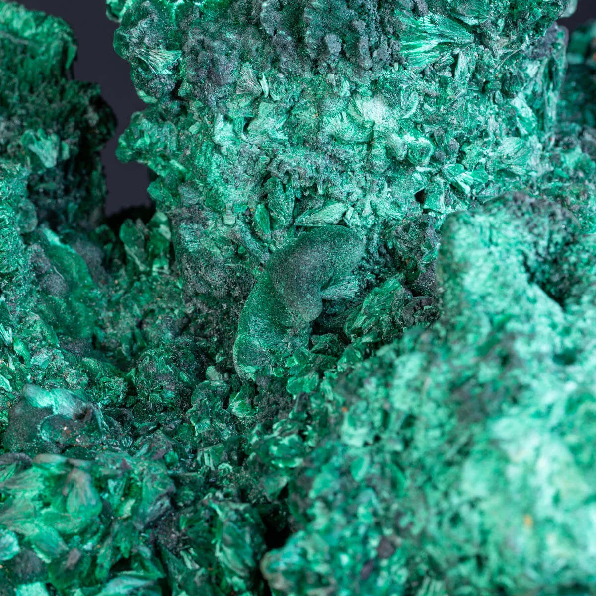 Malachite Fibrosa: Campione Naturale di Incredibile Bellezza e Forma , Straordinariamente Rara.