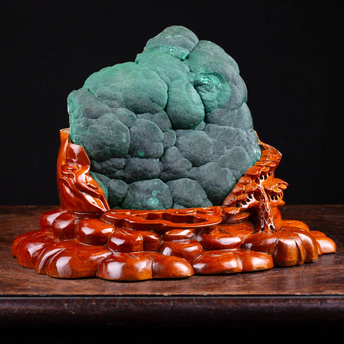 Elegante Malachite Botroidale dalla Shilu Mine.