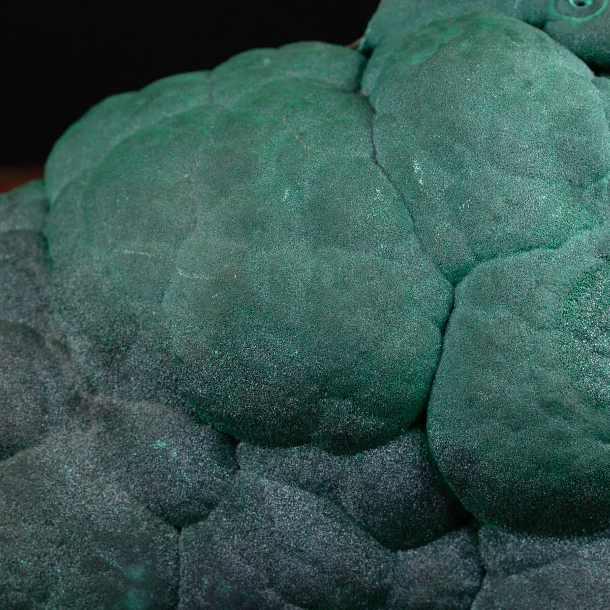 Elegante Malachite Botroidale dalla Shilu Mine.