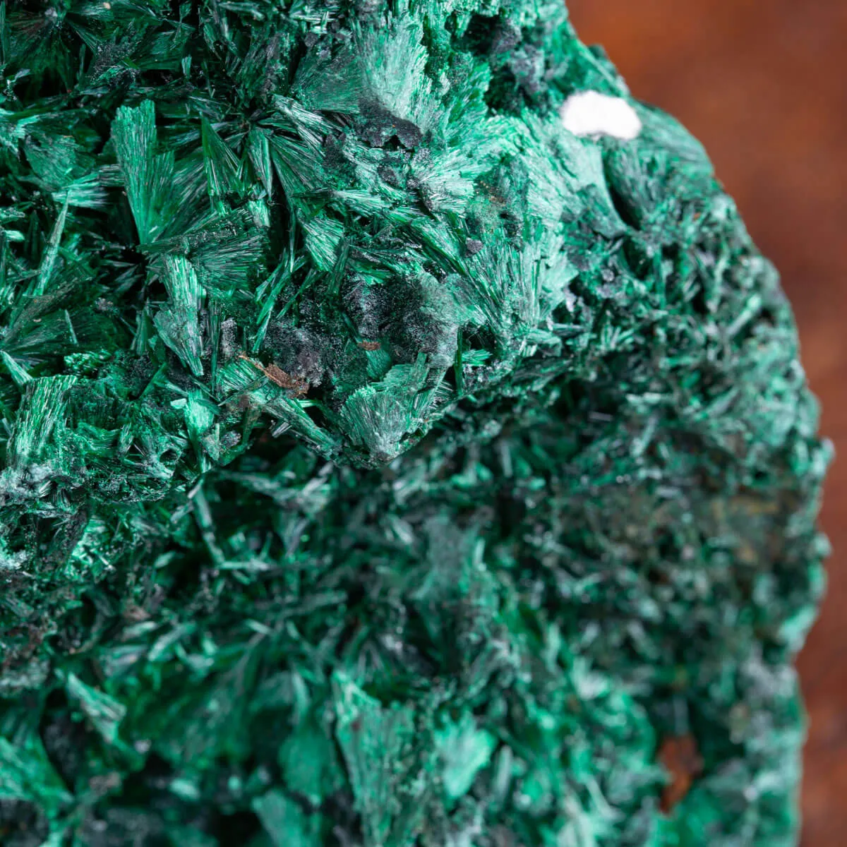 Cluster di Malachite Fibrosa.