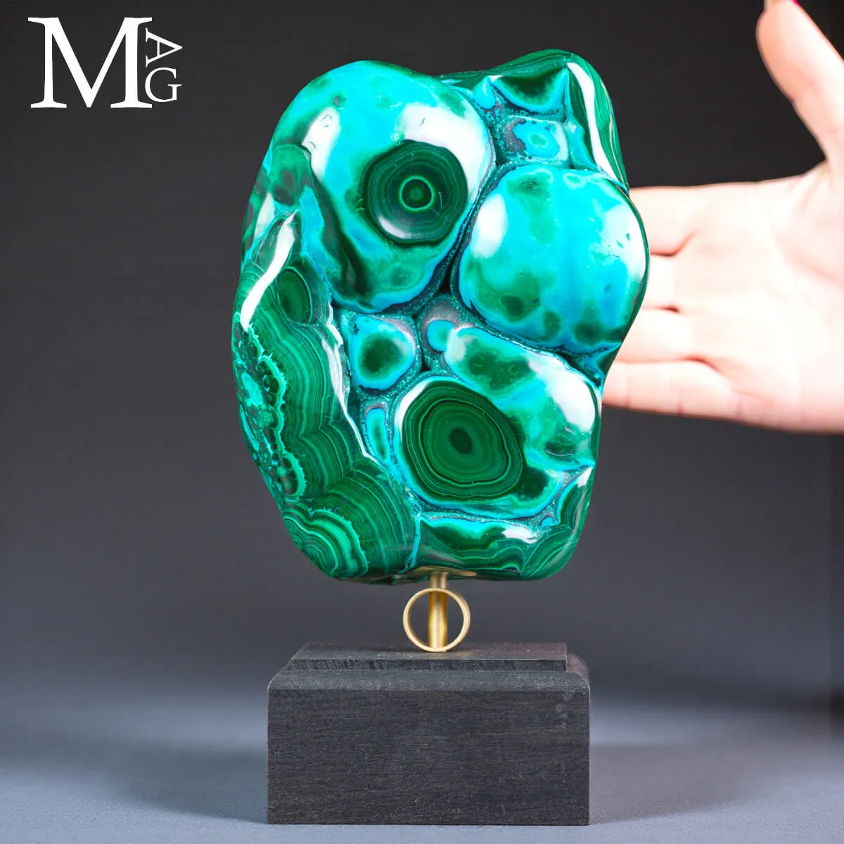 Malachite Botroidale – esemplare della storia mineraria del Congo.