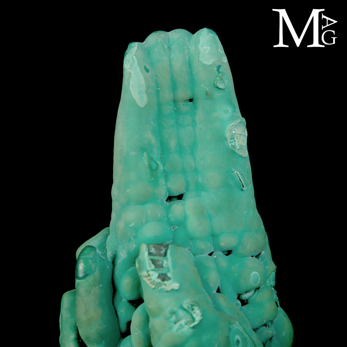 Malachite Stalattitica e Botrioidale del Congo su Base