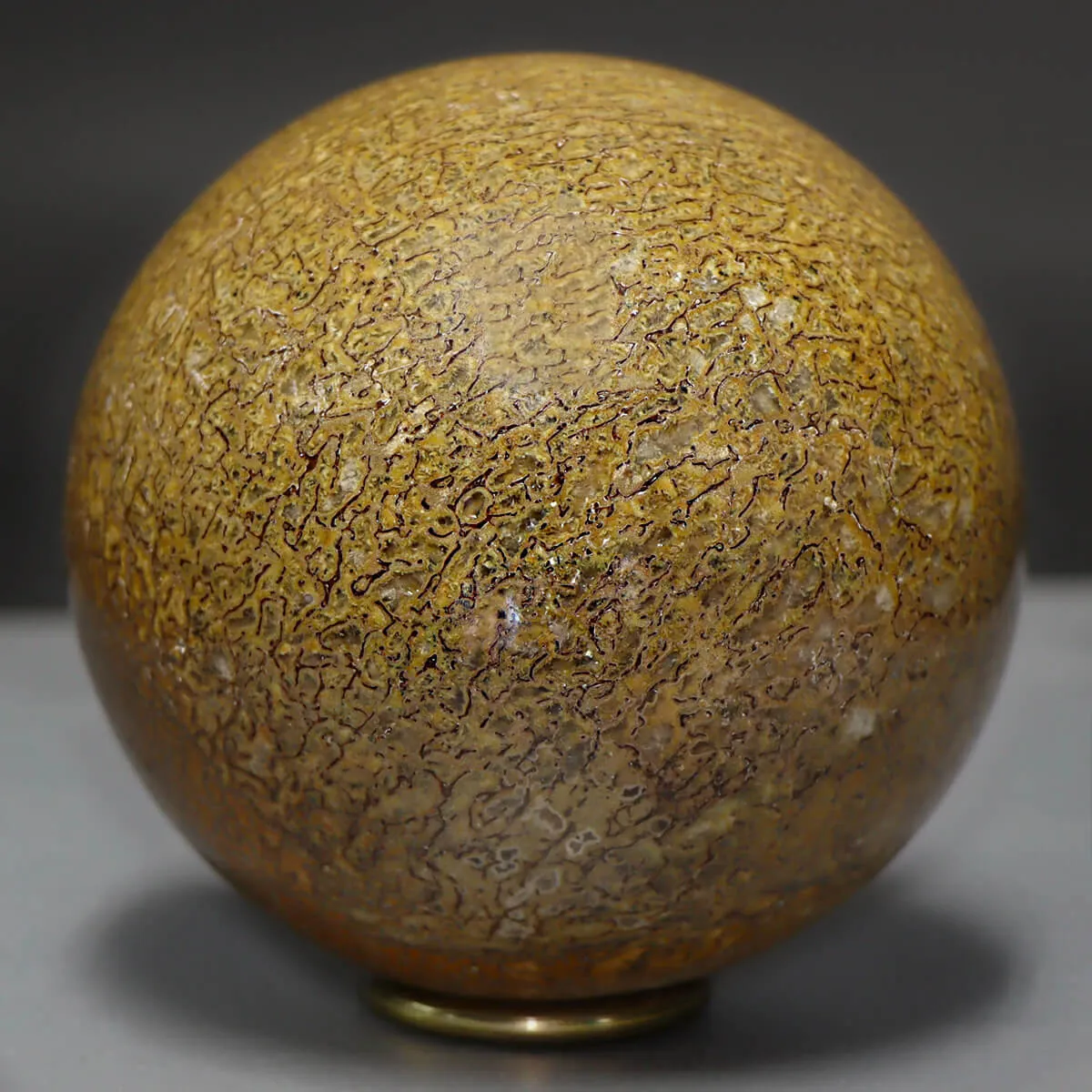 Sfera in Osso di Atlasaurus