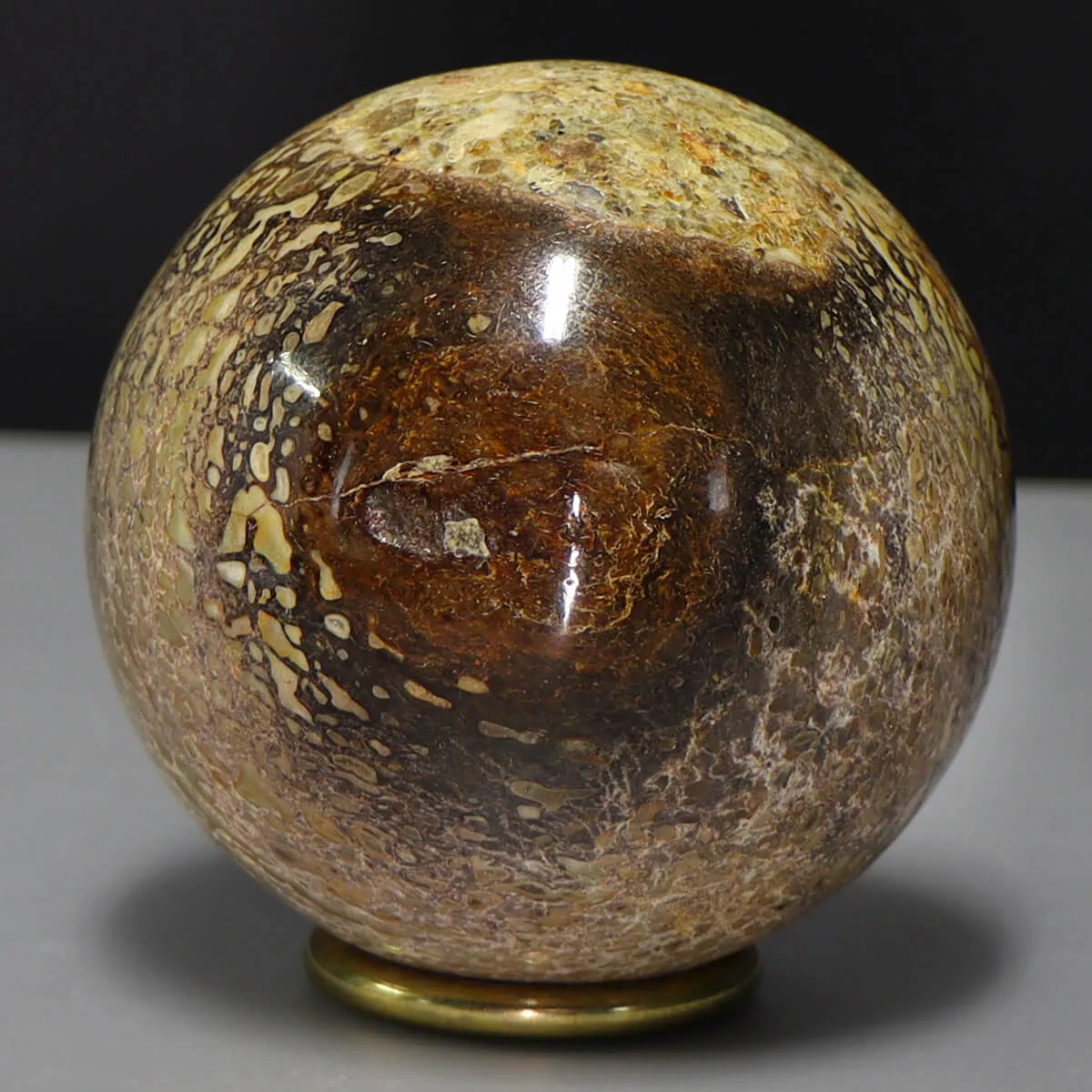 Sfera in Osso di Atlasaurus
