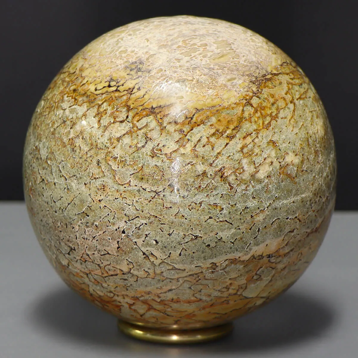 Sfera in Osso di Atlasaurus
