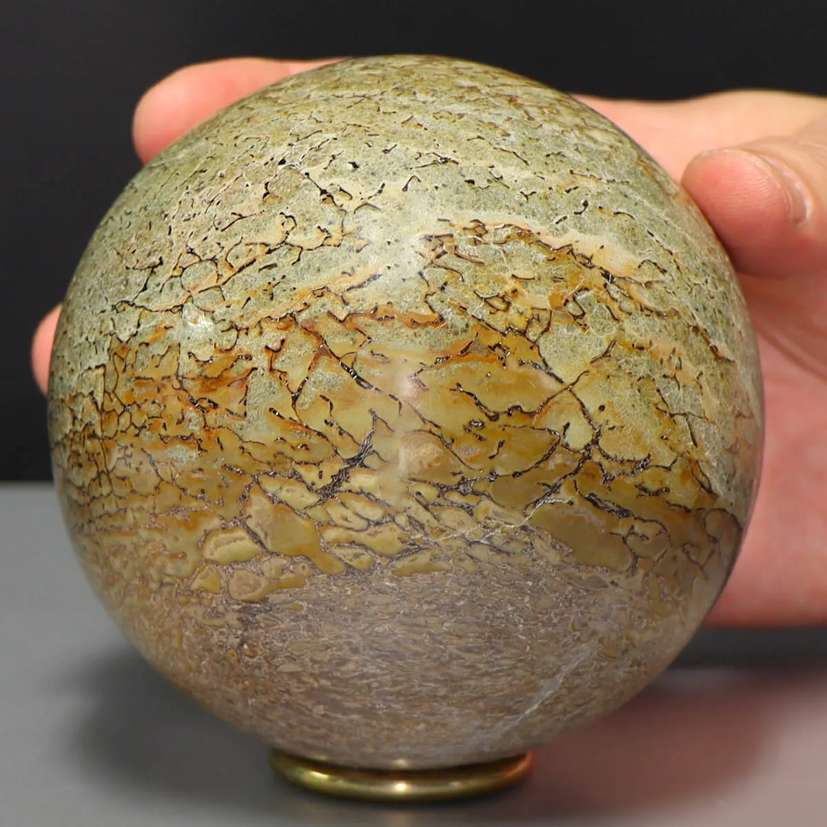 Sfera in Osso di Atlasaurus