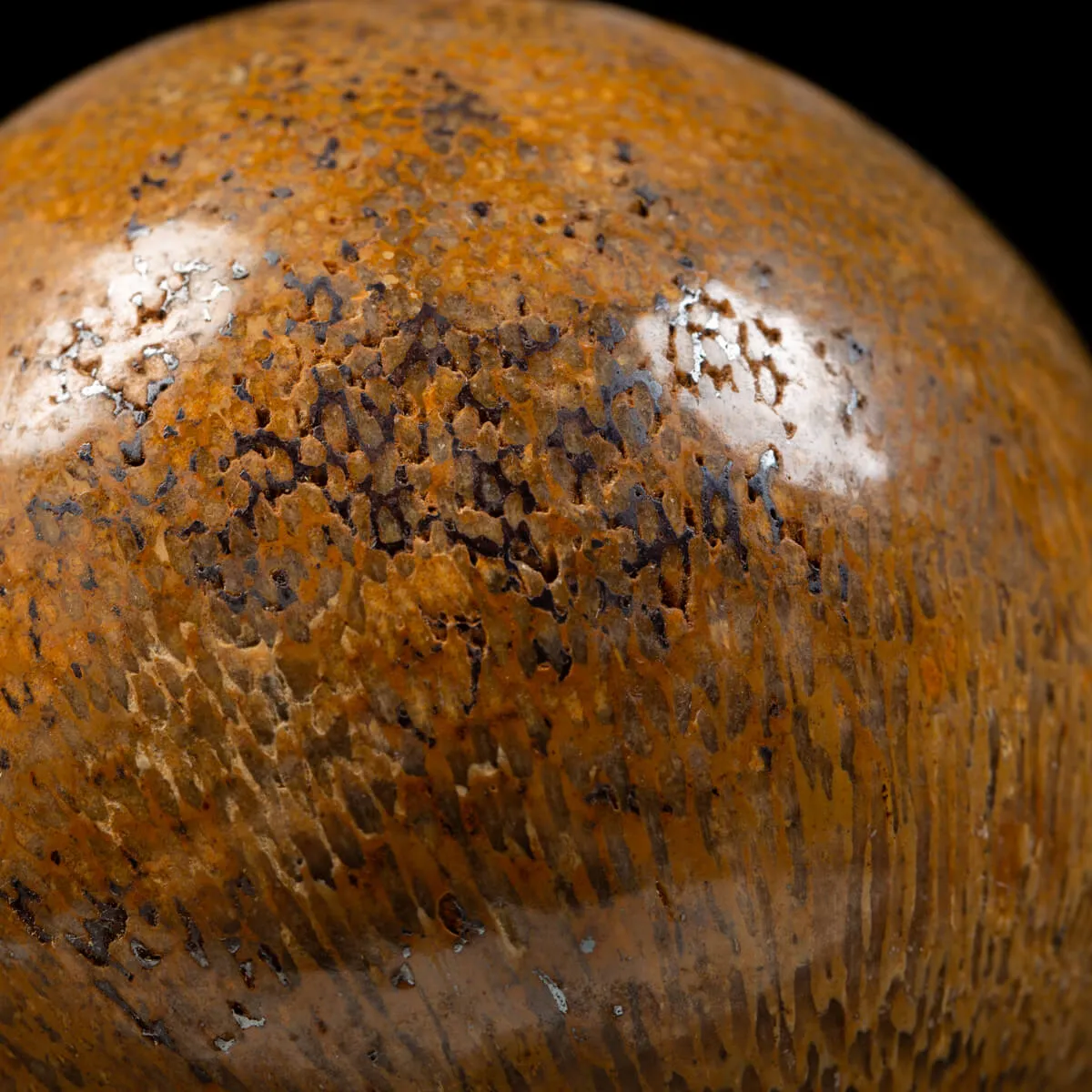 Sfera in Osso di Atlasaurus