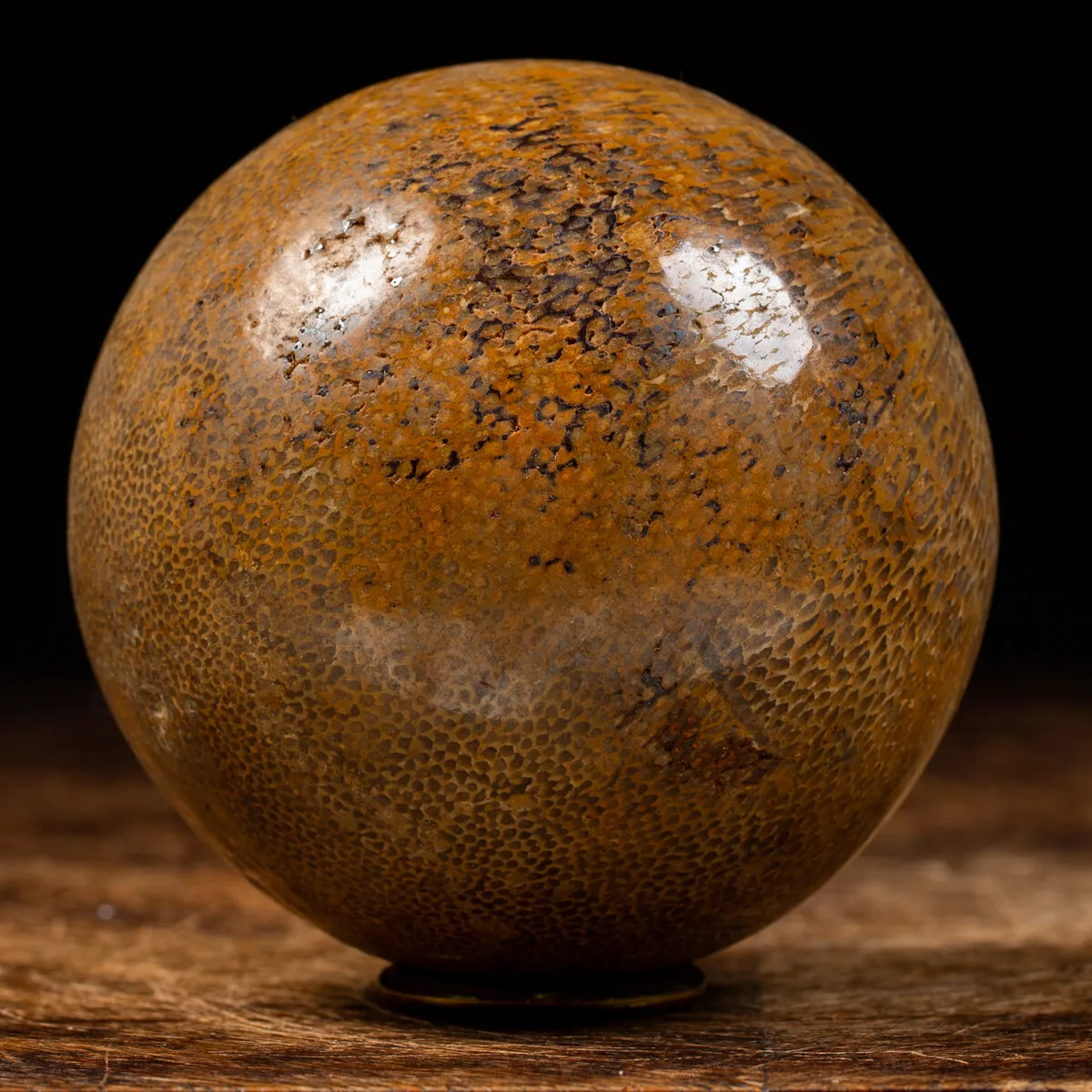 Sfera in Osso di Atlasaurus