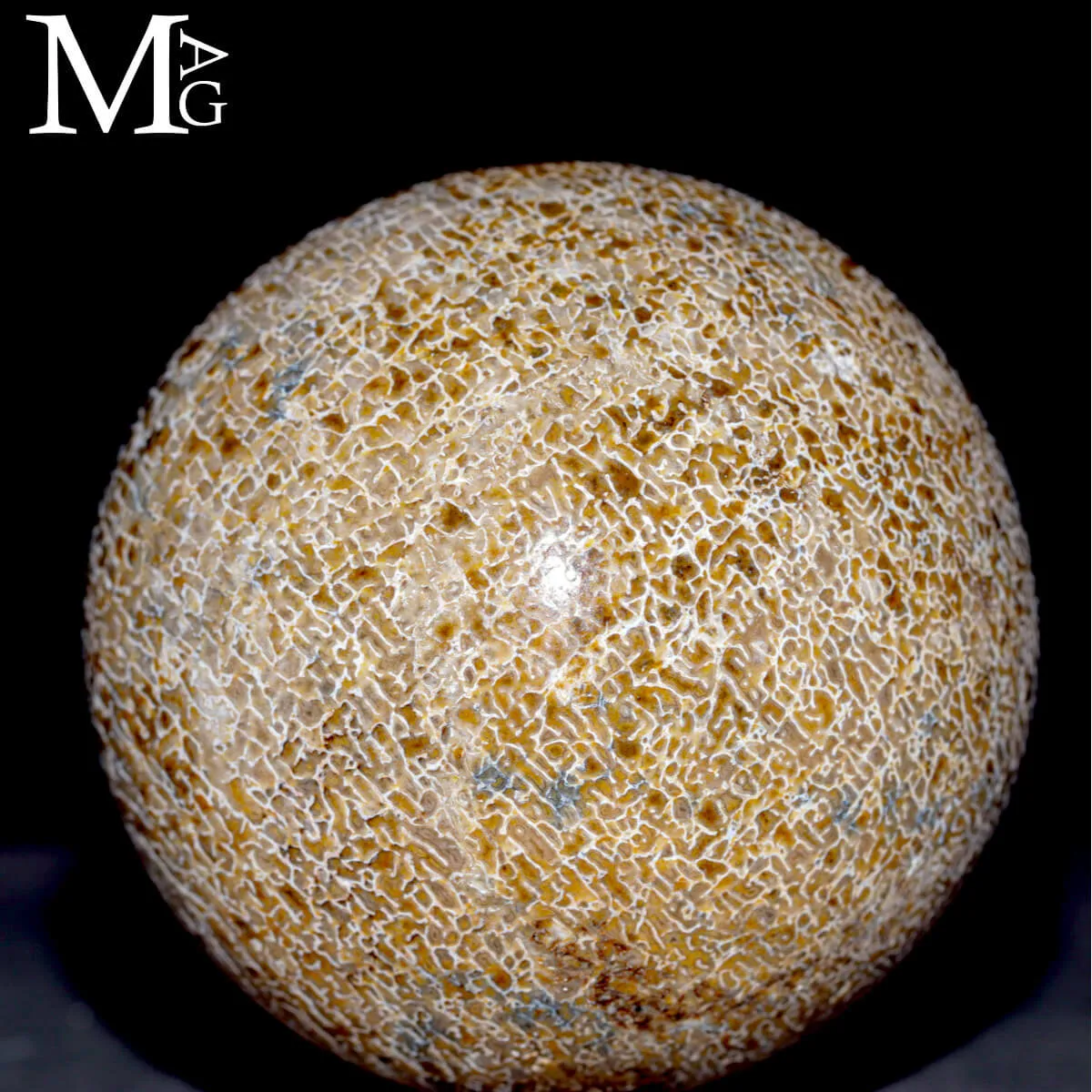 Sfera esclusiva in osso fossile Agatizzato