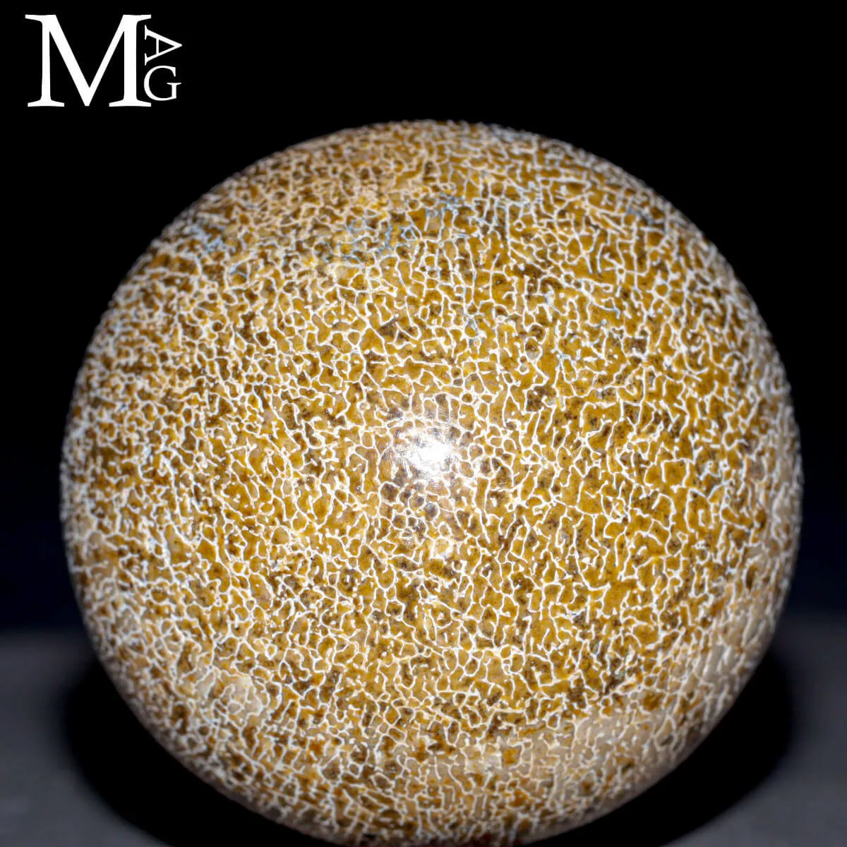 Sfera esclusiva in osso fossile Agatizzato