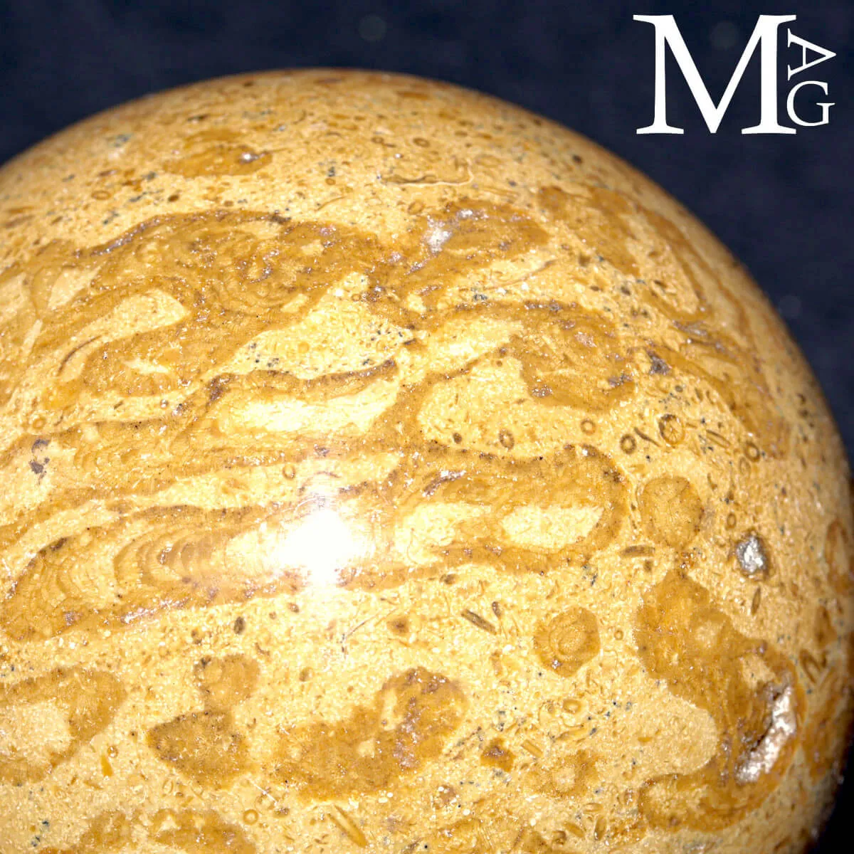 Sfera Fossile in Corallo Madreporico – Madagascar