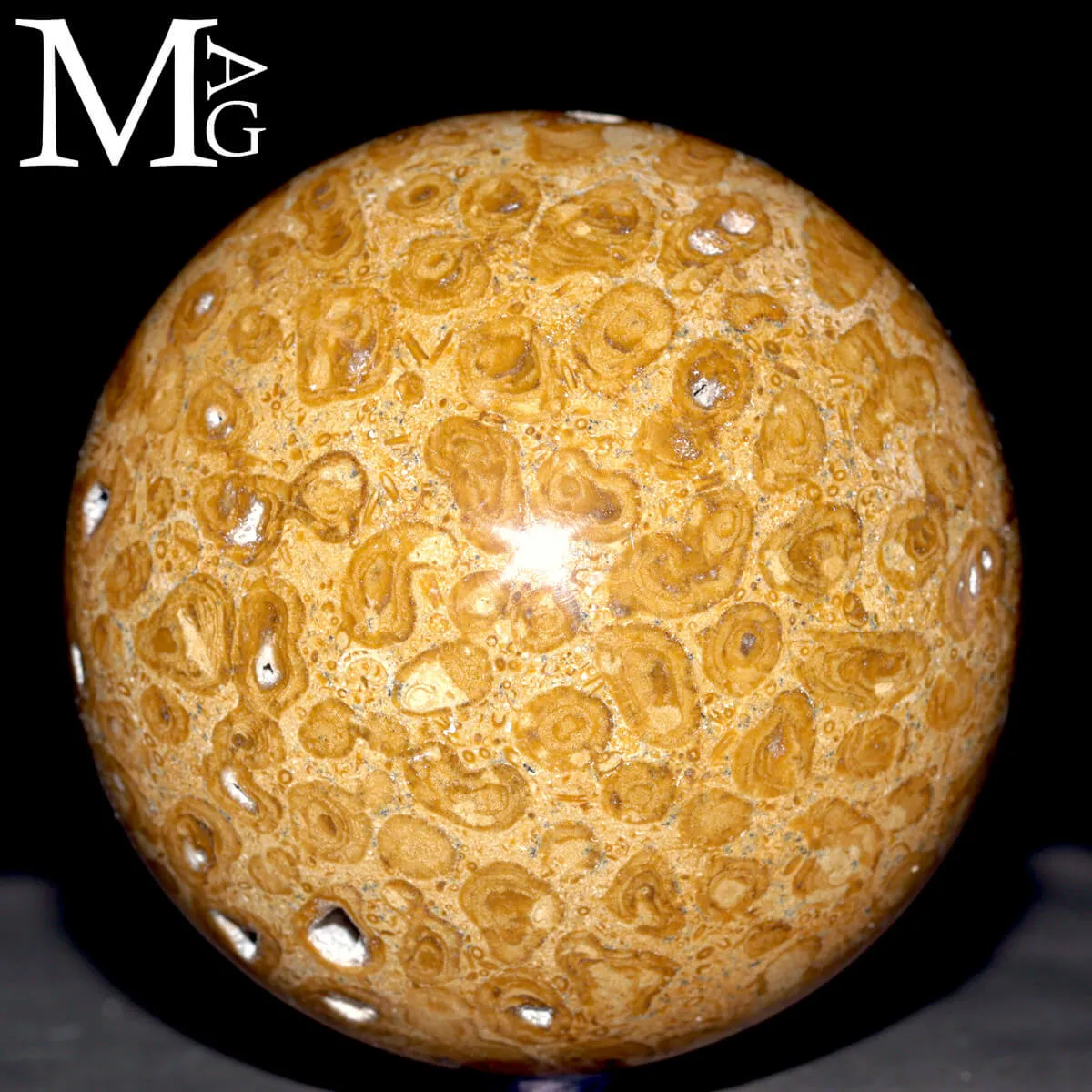 Sfera Fossile in Corallo Madreporico – Madagascar