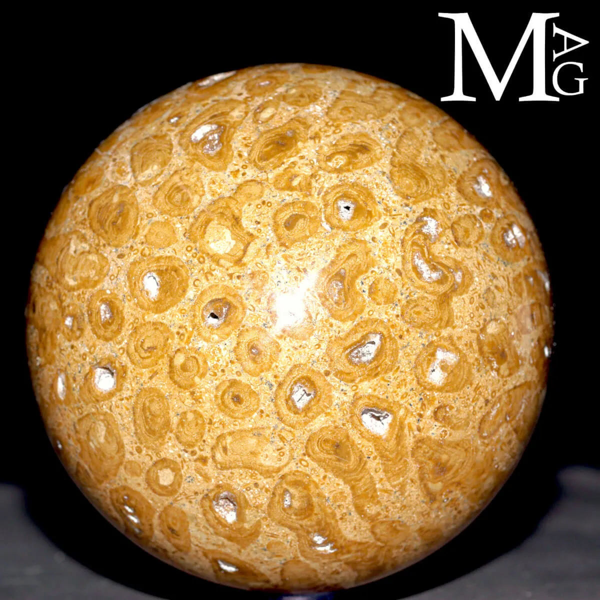 Sfera Fossile in Corallo Madreporico – Madagascar