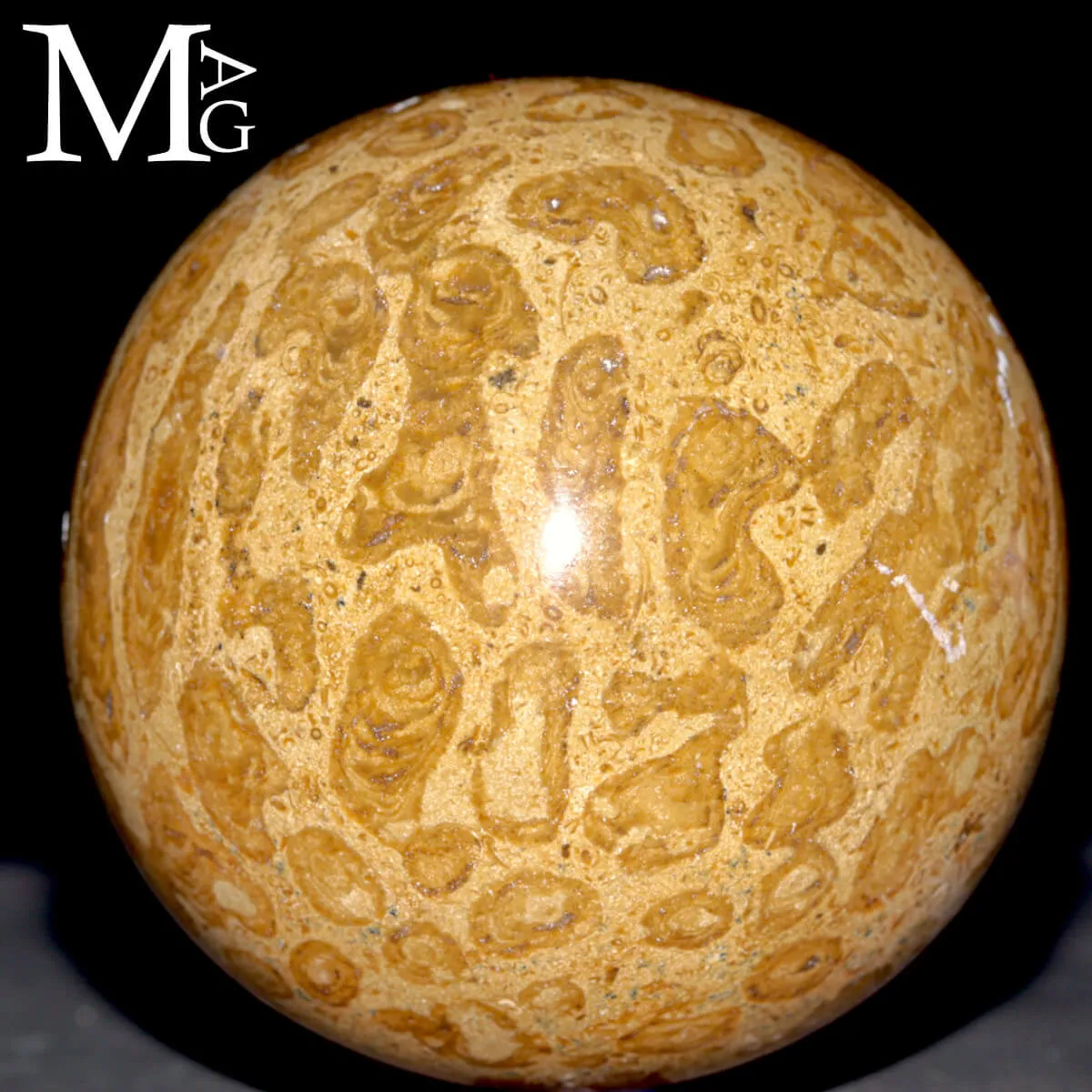 Sfera Fossile in Corallo Madreporico – Madagascar
